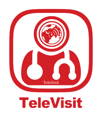 Logo off televisit24